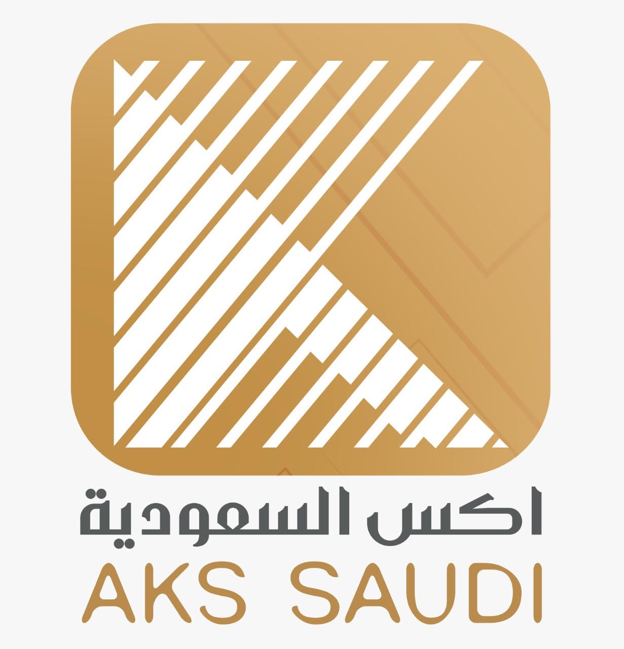 اكس السعودية - احدى مجموعة عبدالخالق سعيد